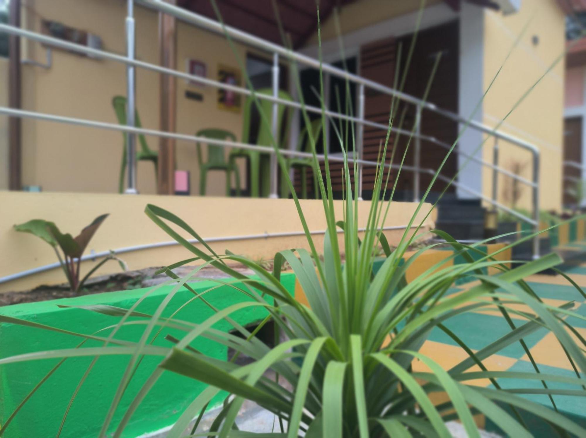Kanna Garden By Bodhi Bungalows Kolli Malai Eksteriør bilde