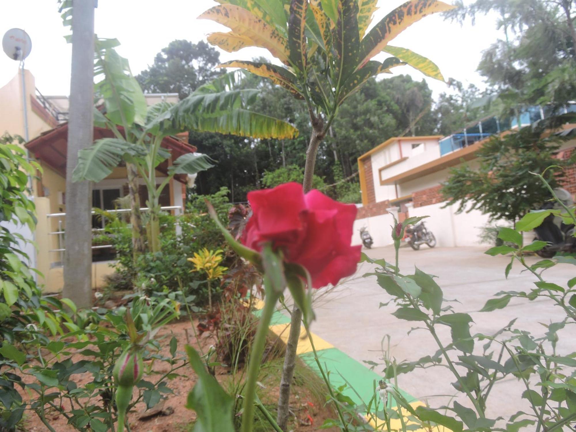 Kanna Garden By Bodhi Bungalows Kolli Malai Eksteriør bilde